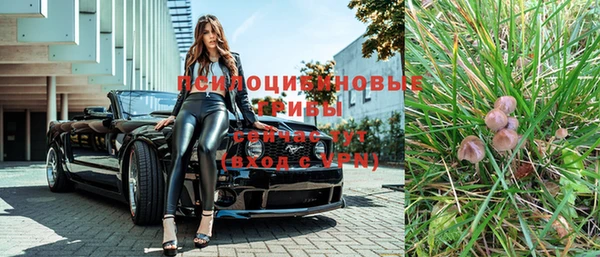 спиды Алексин